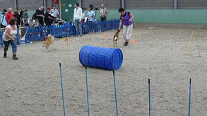 Jonge_hondendag_2008_012_small